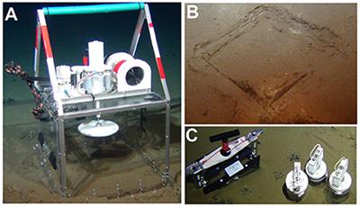 Has Phytodetritus Processing by an Abyssal Soft-Sediment Community Recovered 26 Years after an Experimental Disturbance?